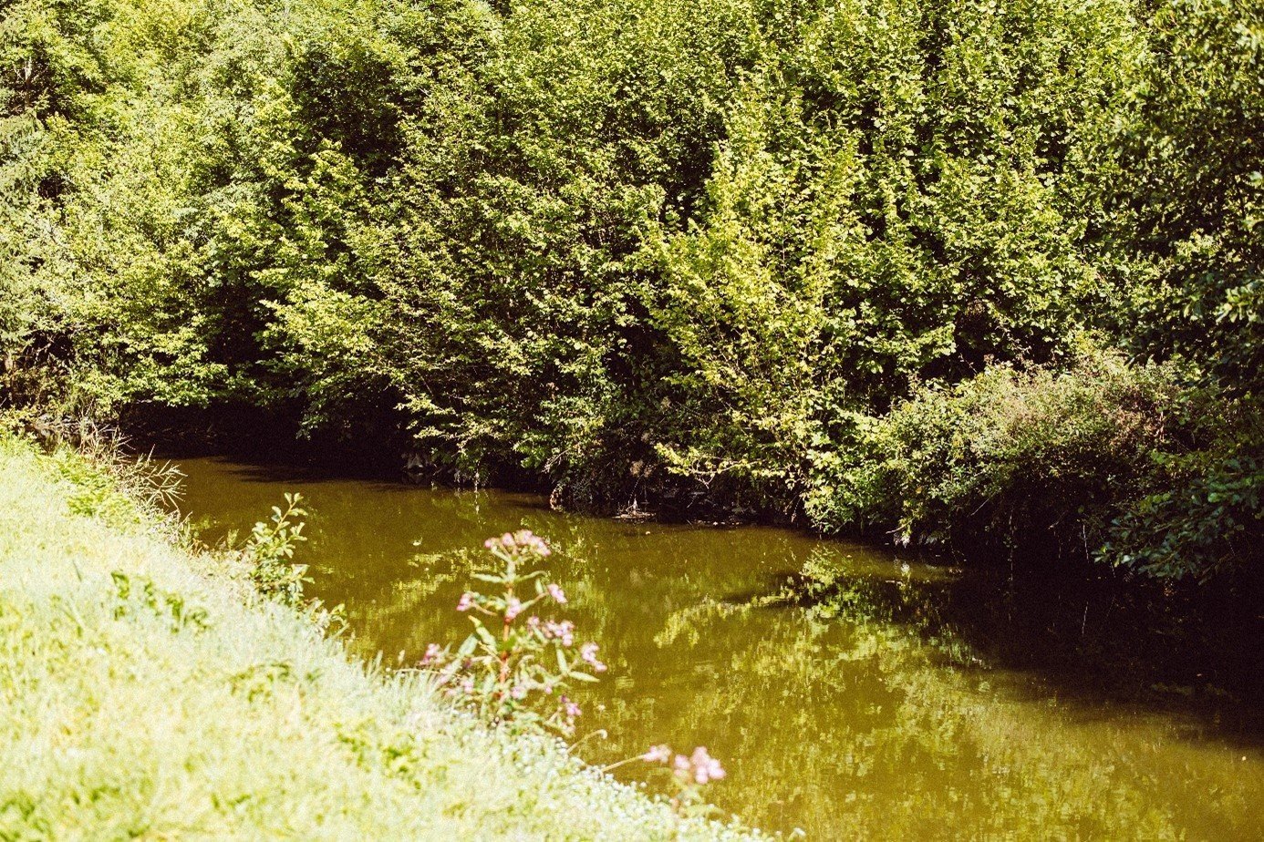 Tentplaats Trekkersveld