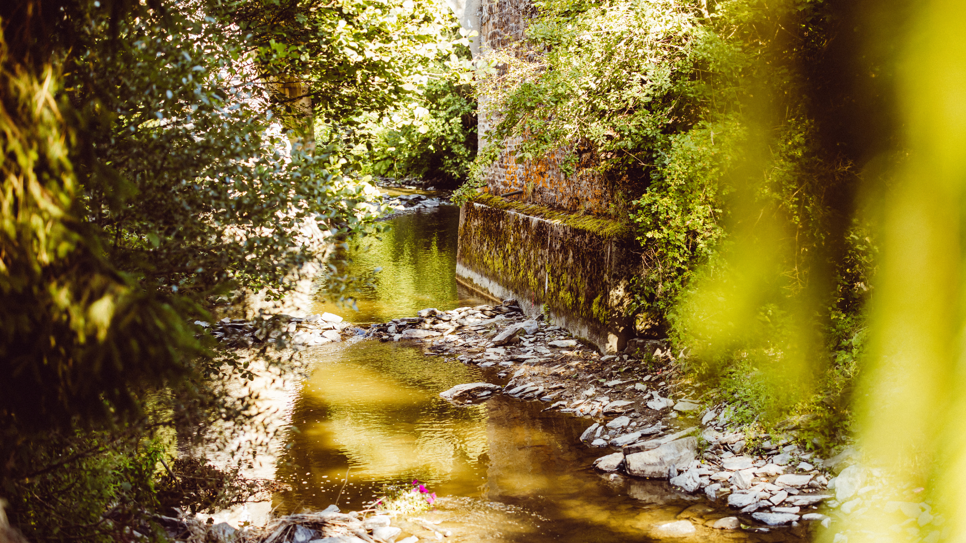 Actief in en rond Woltzdal