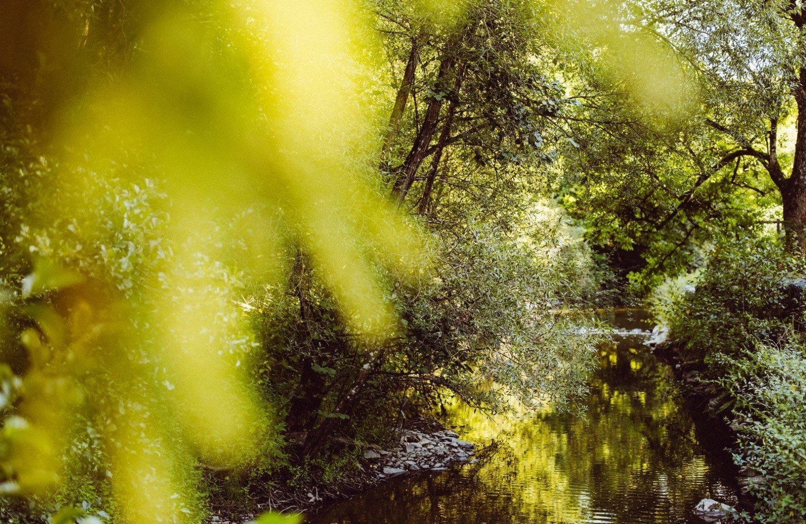 Natuur rondom camping 7