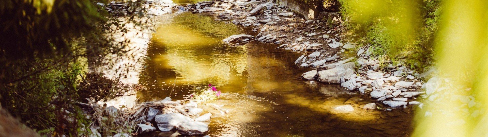 Natuur rondom camping 9