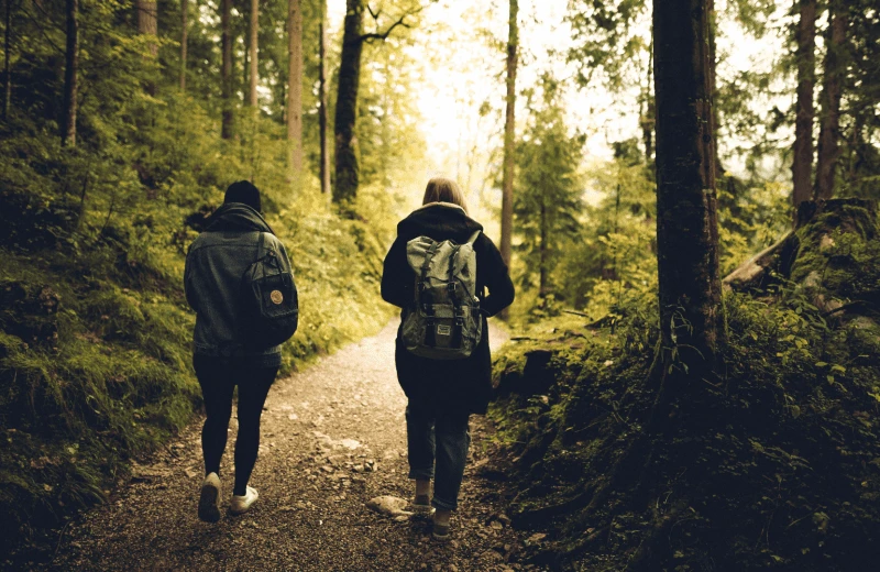 Wandelen & nordic walking