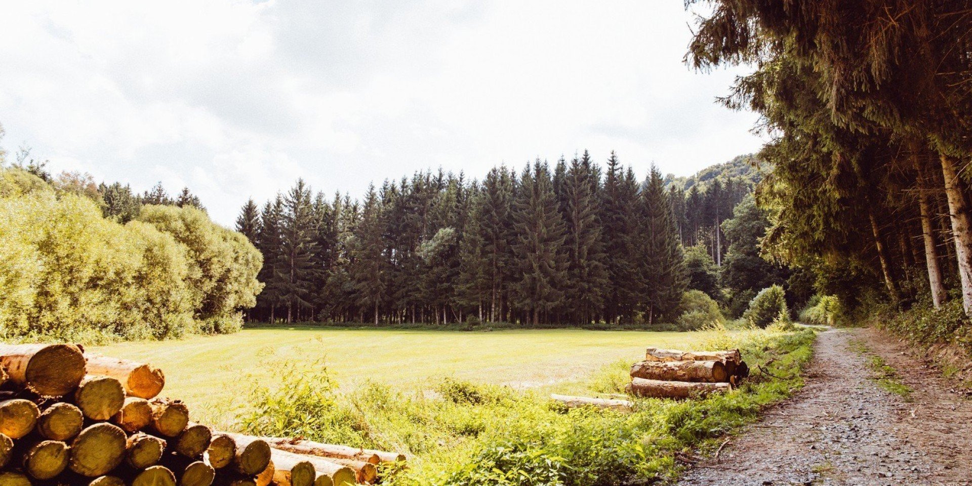 Wandelpad bij trekkershutten 5